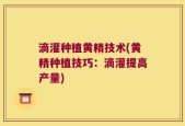 滴灌种植黄精技术(黄精种植技巧：滴灌提高产量)