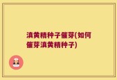 滇黄精种子催芽(如何催芽滇黄精种子)