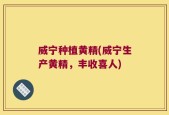 威宁种植黄精(威宁生产黄精，丰收喜人)