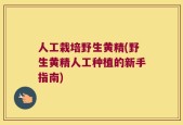人工栽培野生黄精(野生黄精人工种植的新手指南)