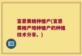 宣恩黄精种植户(宣恩黄精产地种植户的种植技术分享。)