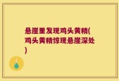 悬崖里发现鸡头黄精(鸡头黄精惊现悬崖深处)