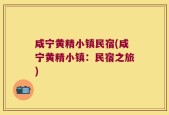 咸宁黄精小镇民宿(咸宁黄精小镇：民宿之旅)