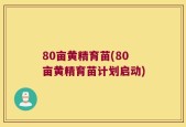 80亩黄精育苗(80亩黄精育苗计划启动)