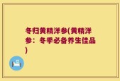 冬归黄精洋参(黄精洋参：冬季必备养生佳品)