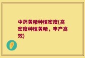 中药黄精种植密度(高密度种植黄精，丰产高效)