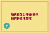 地黄精怎么种植(教你如何种植地黄精)