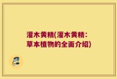 灌木黄精(灌木黄精：草本植物的全面介绍)
