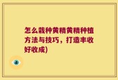 怎么栽种黄精黄精种植方法与技巧，打造丰收好收成)