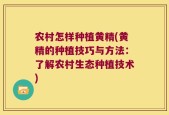 农村怎样种植黄精(黄精的种植技巧与方法：了解农村生态种植技术)