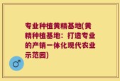 专业种植黄精基地(黄精种植基地：打造专业的产销一体化现代农业示范园)