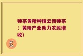 师宗黄精种植云南师宗：黄精产业助力农民增收)