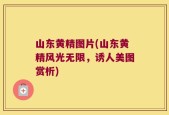 山东黄精图片(山东黄精风光无限，诱人美图赏析)