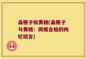 桑椹子和黄精(桑椹子与黄精：同框合拍的枸杞组合)