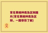 常见黄精种类及区别图片(常见黄精种类及区别，一图带你了解)