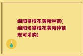 绵阳攀枝花黄精种苗(绵阳和攀枝花黄精种苗现可采购)