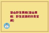 潜山野生黄精(潜山黄精：野生资源的珍贵宝藏)