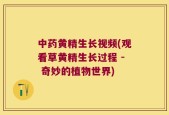 中药黄精生长视频(观看草黄精生长过程 - 奇妙的植物世界)