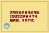 嵩明宏鑫农业种的黄精(嵩明宏鑫农业成功种植黄精，成果丰硕)