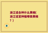 浙江适合种什么黄精(浙江适宜种植哪类黄精？)