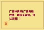 广西种黄精(广西黄精种植：颗粒无收益，何以突围？)