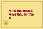 兔子吃黄精(黄精是兔子的必需品，被广泛食用)