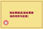 蛤蚧黄精汤(蛤蚧黄精汤的功效与应用)