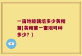一亩地能栽培多少黄精苗(黄精苗一亩地可种多少？)