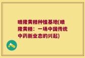 晴隆黄精种植基地(晴隆黄精：一场中国传统中药新业态的兴起)