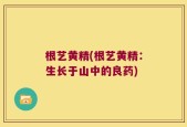 根艺黄精(根艺黄精：生长于山中的良药)