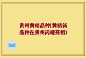 贵州黄精品种(黄精新品种在贵州闪耀亮相)