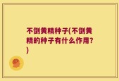 不倒黄精种子(不倒黄精的种子有什么作用？)
