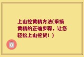 上山挖黄精方法(采摘黄精的正确步骤，让您轻松上山挖货！)
