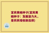 宜宾黄精种子(宜宾黄精种子：发展潜力大，是农民增收新选择)