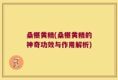 桑椹黄精(桑椹黄精的神奇功效与作用解析)