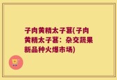 子肉黄精太子葚(子肉黄精太子葚：杂交蔬果新品种火爆市场)