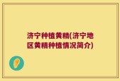 济宁种植黄精(济宁地区黄精种植情况简介)