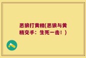 恶狼打黄精(恶狼与黄精交手：生死一击！)