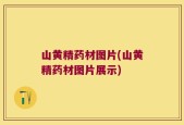 山黄精药材图片(山黄精药材图片展示)