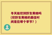 冬天能挖到野生黄精吗(挖野生黄精的最佳时间是在哪个季节？)