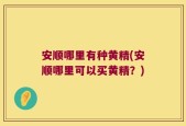 安顺哪里有种黄精(安顺哪里可以买黄精？)