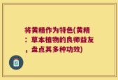 将黄精作为特色(黄精：草本植物的良师益友，盘点其多种功效)