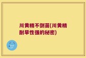 川黄精不倒苗(川黄精耐旱性强的秘密)