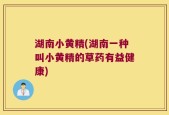 湖南小黄精(湖南一种叫小黄精的草药有益健康)