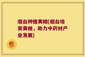 烟台种植黄精(烟台培育黄精，助力中药材产业发展)