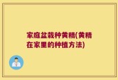 家庭盆栽种黄精(黄精在家里的种植方法)