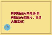 田黄精品头像高清(田黄精品头像图片，高清大图赏析)