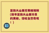 苗族大山里挖黄精视频(探寻苗族大山里珍贵的黄精，惊叹自然奇观！)