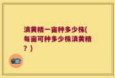 滇黄精一亩种多少株(每亩可种多少株滇黄精？)