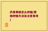 药用黄精怎么种植(黄精种植方法及注意事项)